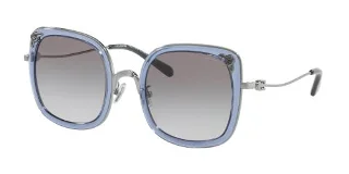 Coach Sunglasses HC7101B