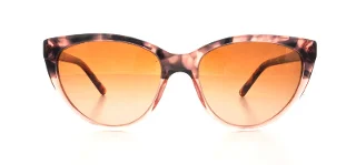Dkny Sunglasses DY4095