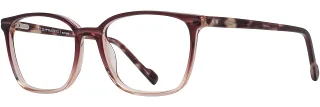 C05 Berry Fade / Berry Tortoise