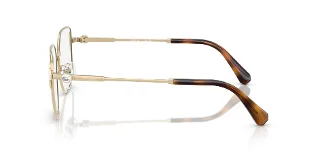 Swarovski Eyeglasses SK1020D