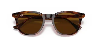 Ray Ban Sunglasses RB2298