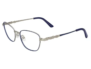 C2 Blue/Silver