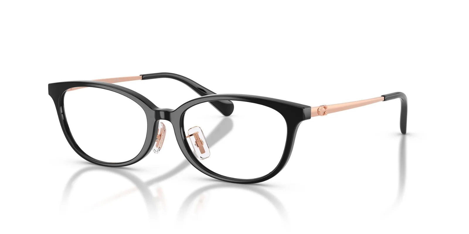 Coach Eyeglasses HC6295D
