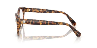 Swarovski Eyeglasses SK2037