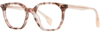 C03 Neopolitan Shell