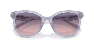 Coach Sunglasses HC8419U