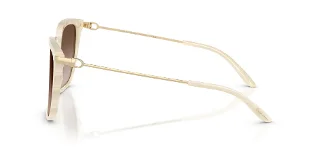 Ralph Lauren Sunglasses RL8209
