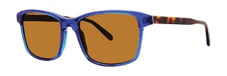Surf The Web Blue (Polarized)