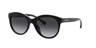 Coach Sunglasses HC8297U