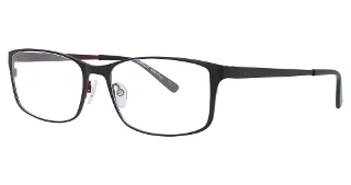 Pure-T Eyeglasses T135