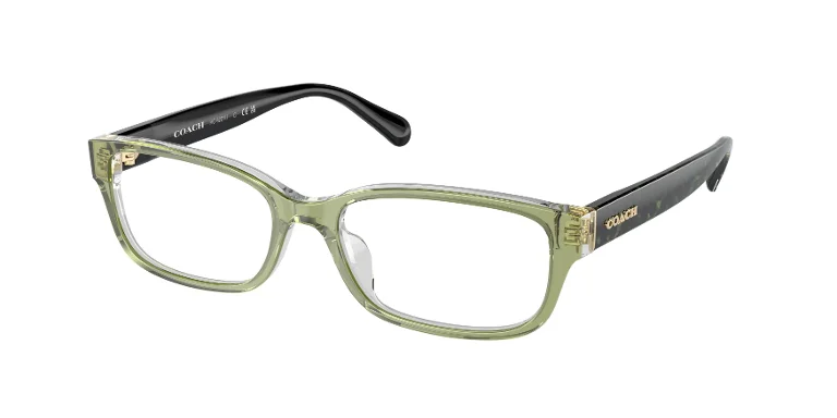 Coach Eyeglasses HC6221U