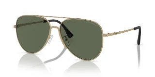 300271 Matte Pale Gold
