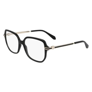 Salvatore Ferragamo Eyeglasses SF3012