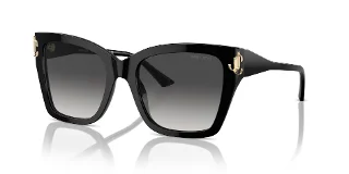 Jimmy Choo Sunglasses JC5012F