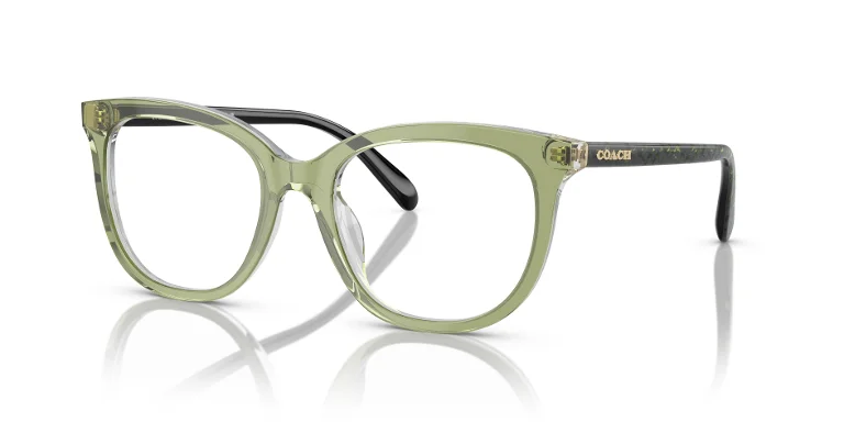 Coach Eyeglasses HC6223U