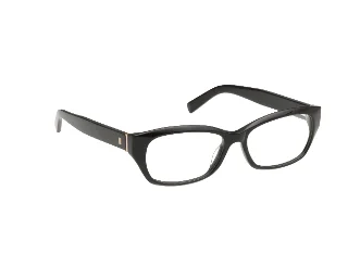 Abercrombie & Fitch Eyeglasses AF50029