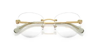 Swarovski Eyeglasses SK1021