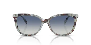 Coach Sunglasses HC8378U