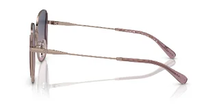 Coach Sunglasses HC7158D