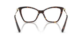 Swarovski Eyeglasses SK2051