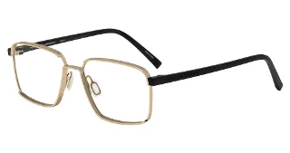 Gold/Black (C000)