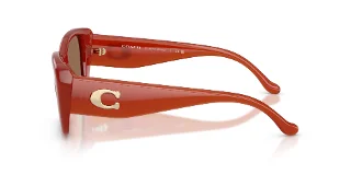 Coach Sunglasses HC8435U