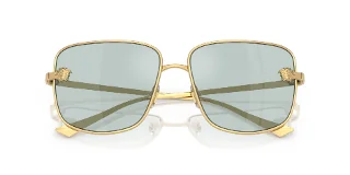 Versace Sunglasses VE2282