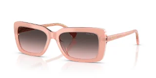629646 Peach Transparent