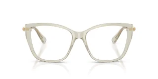 Swarovski Eyeglasses SK2060