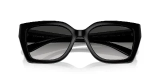 Coach Sunglasses HC8408U