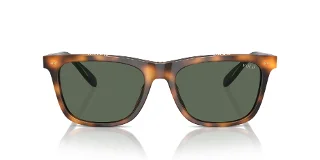 Polo Sunglasses PH4205U