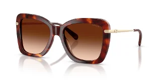 593874 Walnut Tortoise