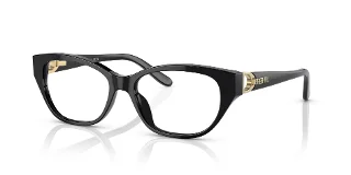 5001 Shiny Black