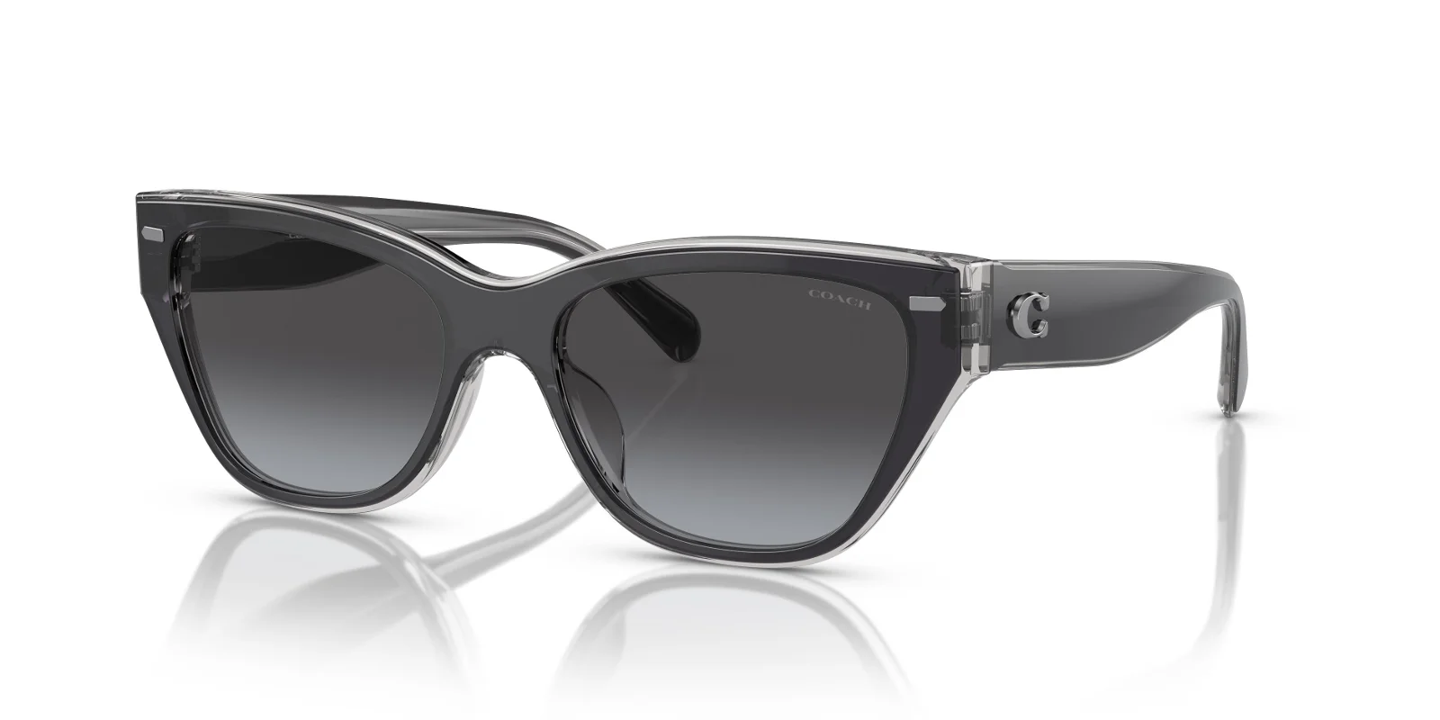 Coach Sunglasses HC8370U