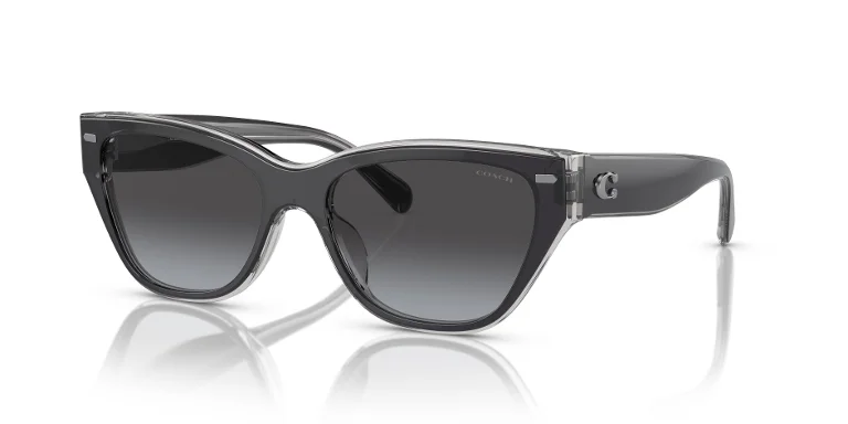 Coach Sunglasses HC8370U