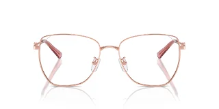 Michael Kors Eyeglasses MK3081D
