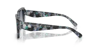 Coach Sunglasses HC8409U