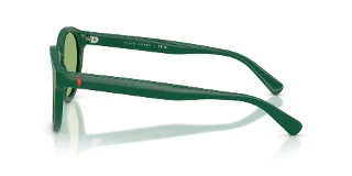 Polo Sunglasses PH4192