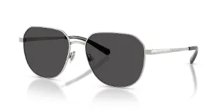 103287 Shiny Silver