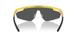 Ferrari Scuderia Sunglasses FZ6001
