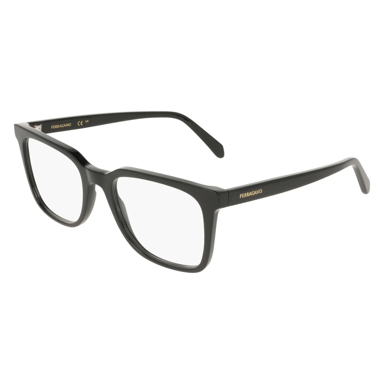 Salvatore Ferragamo Eyeglasses SF3067