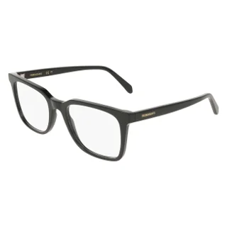 Salvatore Ferragamo Eyeglasses SF3067