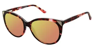 C02 Rose Tortoise