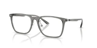 6106 Shiny Transparent Grey