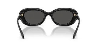Coach Sunglasses HC8448U