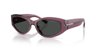 638987 Transparent Purple