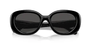 Coach Sunglasses HC8391U