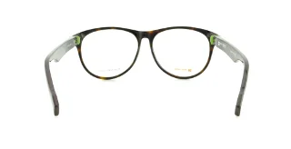 Hugo Boss Eyeglasses 0121