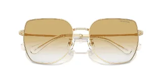 Swarovski Sunglasses SK7021D