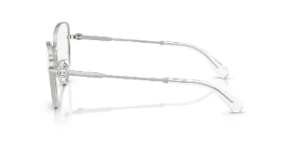 Swarovski Eyeglasses SK1022
